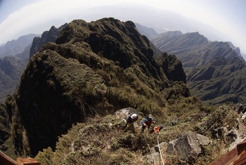 hinh anh: du day nhat rac quanh dinh fansipan sapa hinh 3