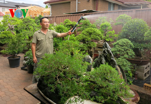 nguoi gin giu "hon viet" giua troi tay hinh 2