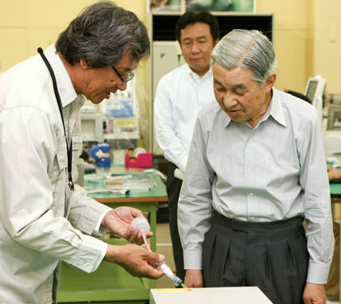 Chuyen cua chu hang nguoi Viet dau tien duoc don Nhat Hoang hinh anh 1