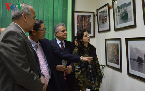 soi dong ngay van hoa viet nam tai tinh qalyubia ai cap hinh 1