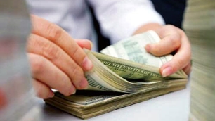 Devisentransfers nach Vietnam erreichen neun Milliarden US-Dollar