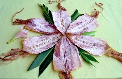 Briefkastensendung vom 14.3.2012