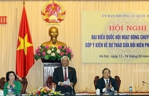 Meinungen der Abgeordneten zur Verfassungsänderung