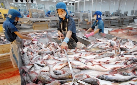 Unlogische Dumpingpreiszölle der USA für Pangasius aus Vietnam