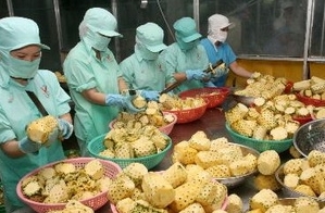 Seminar: Perspektive für den Landwirtschaftsmarkt 2013