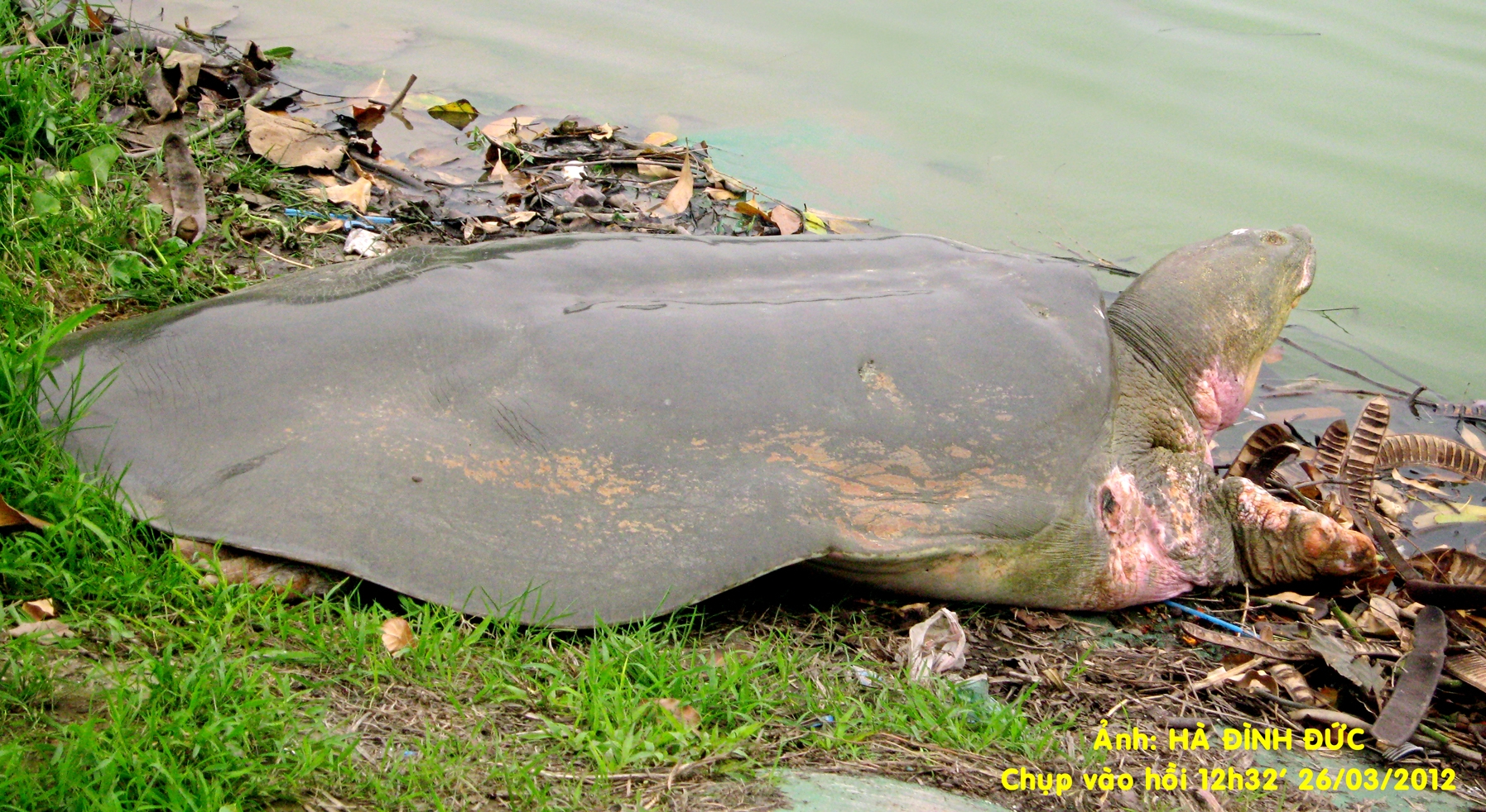 Briefkastensendung vom 24.04.2013