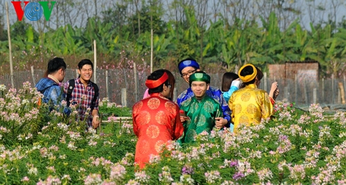 Jugendliche in Hanoi machen Fotos in Frühlingsgärten