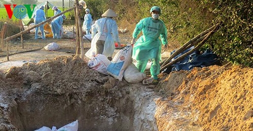 Vogelgrippe-Bekämpfung wird im ganzen Land vorangetrieben