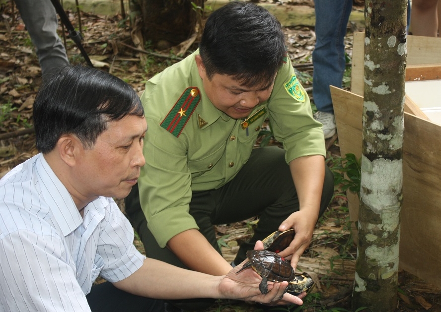 Fahrt in die Heimat der Annam-Schildkröte