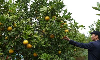 Duong Van Thu - ein Vorbild des Jugendverbands