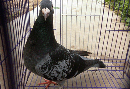 Briefkastensendung vom 11.06.2014