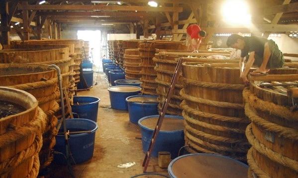 Vietnam, Laos, Kambodscha und Myanmar kooperieren beim Schutz des geistigen Eigentums