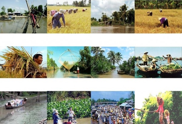 Zusammenarbeit der Provinzen durch Wirtschaftsforum für Mekong-Delta