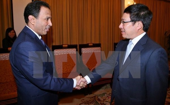 Außenminister Pham Binh Minh empfängt den Botschafter der Vereinigten Arabischen Emirate