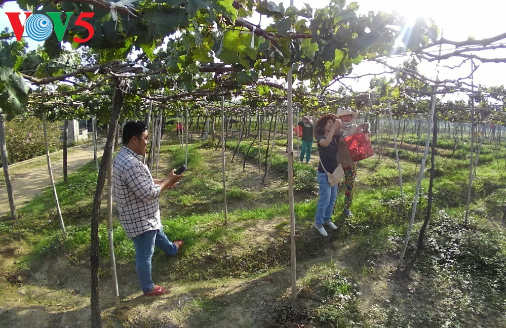 Reiseziele im ganzen Land empfangen Besucher zum Jahresanfang