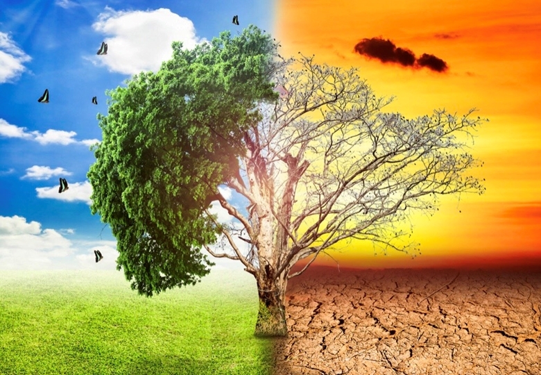 Informationsportal über den Klimawandel für vietnamesische Jugendliche