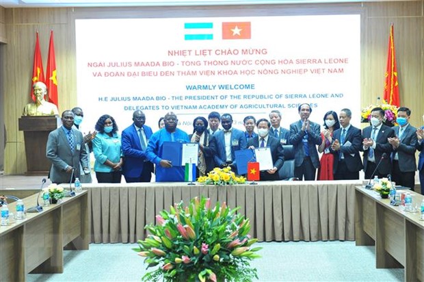 Vietnam und Sierra Leone verstärken die Zusammenarbeit in Landwirtschaft und digitaler Transformation