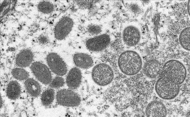Vorbeugung gegen das Eindringen von Affenpocken