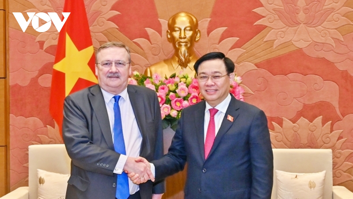 Parlamentspräsident Vuong Dinh Hue empfängt den ungarischen Botschafter