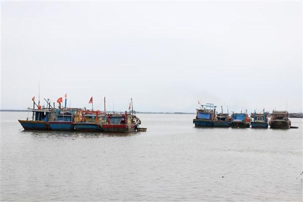 Vietnam will sich durch UNCLOS von 1982 zu einem starken Küstenland entwickeln