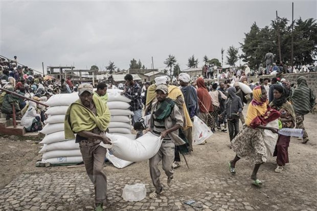 EU sucht Lösung für die Nahrungsmittelkrise in Afrika