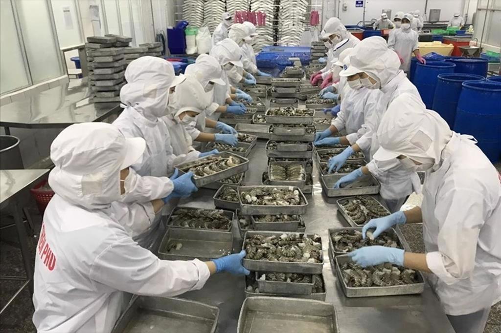 Fischerei-Export Vietnams wächst stark