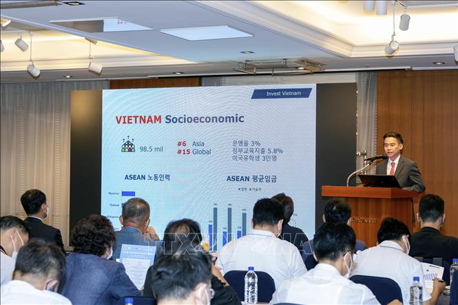 Unternehmen zwischen Vietnam und Südkorea verstärken die Investition