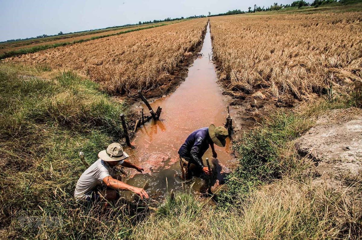 Lösungen zur Anpassungen an die Versalzung im Mekong-Delta