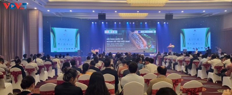 Vietnamesische Pfeffer markiert die Position auf dem internationalen Markt