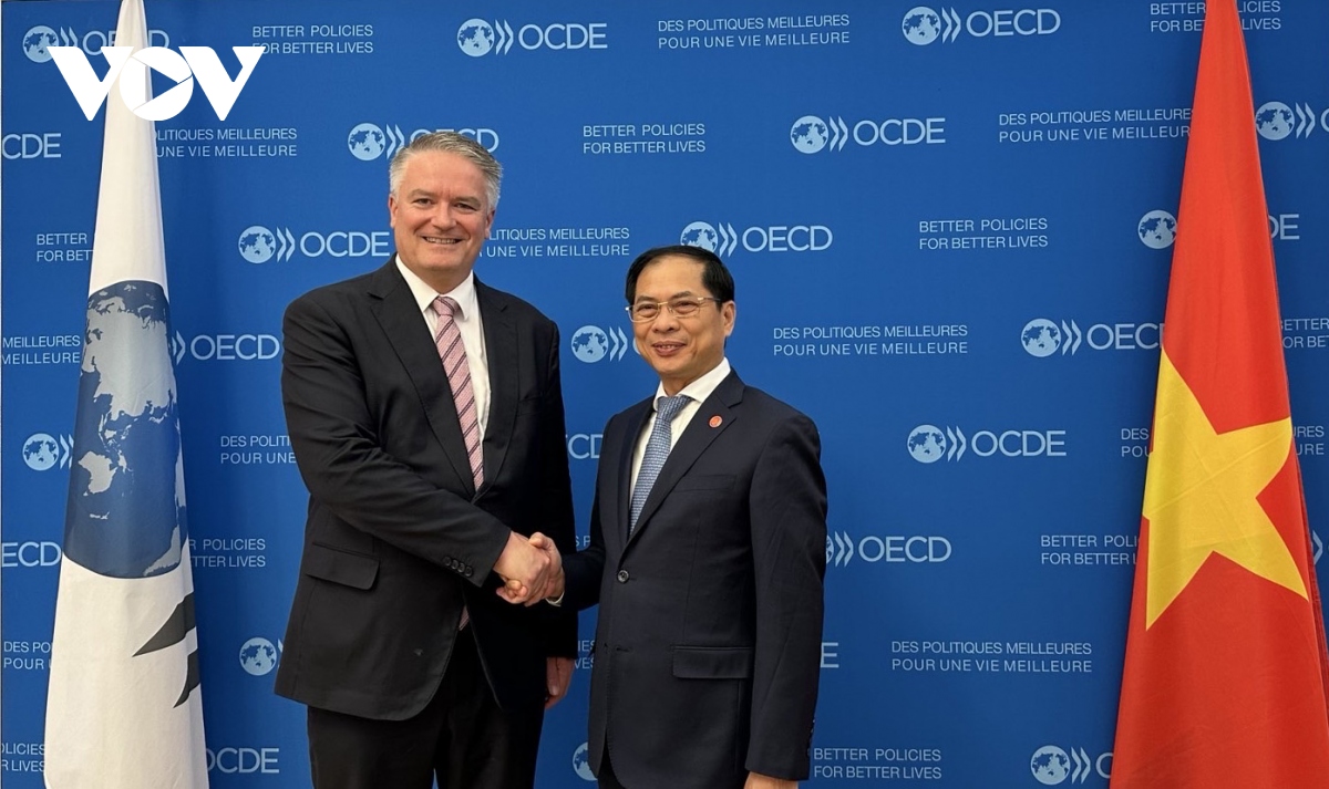 OECD will Vietnam bei der Erneuerung der Wachstumsmodelle begleiten