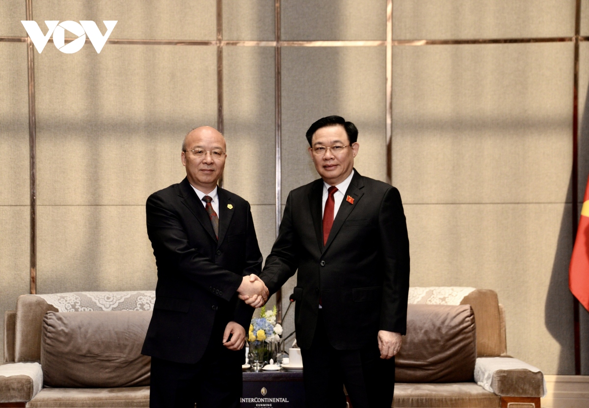 Parlamentspräsident empfängt Leiter der chinesischen Konzerne in Yunnan