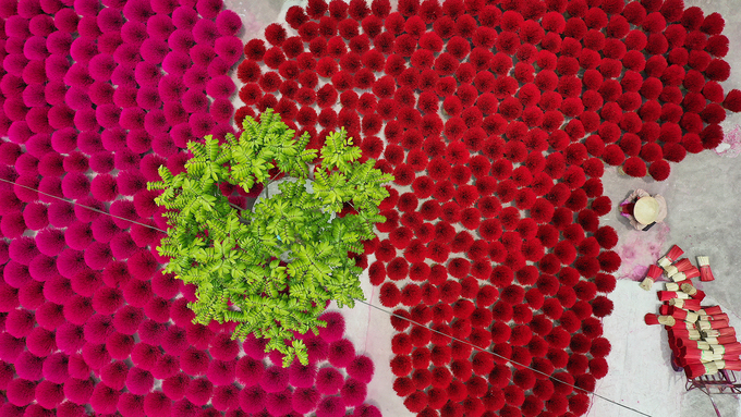 Memperkenalkan sepintas lintas tentang desa pembuat dupa di pinggiran Kota Hanoi