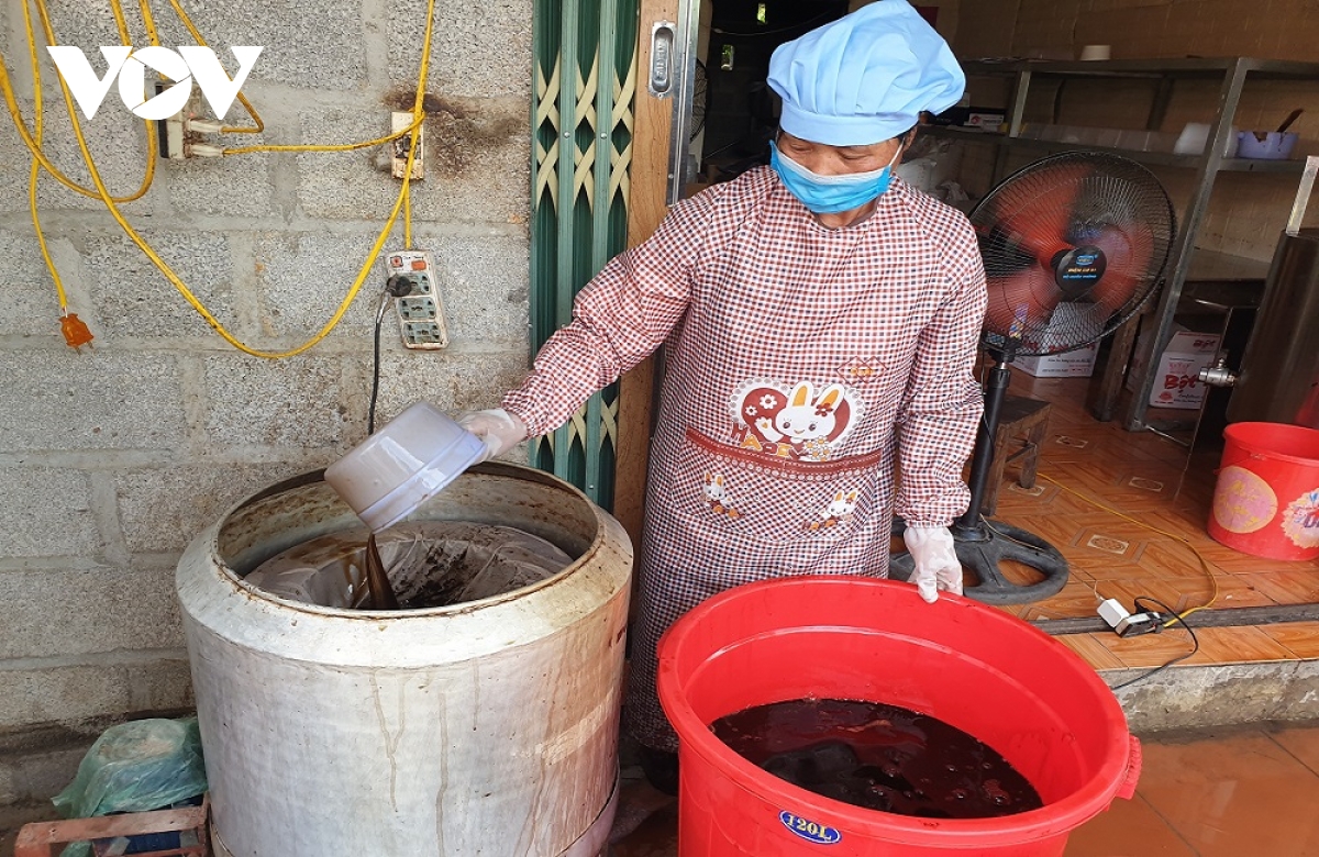 Budidaya Tanaman Cincau Hitam Berperan dalam Pengentasan dari Kelaparan dan Kemiskinan bagi Para Petani di Provinsi Cao Bang