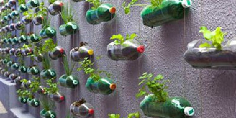 Perkenalan Sepintas tentang Tren Hobi Orang Vietnam pada Pandemi Covid-19 dan Koperasi Terbesar di Vietnam