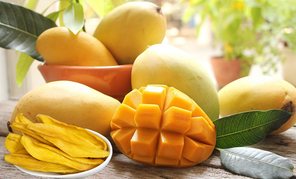 Perkenalan Sepintas tentang Produk yang Terbuat dari Mangga di Vietnam dan Tur Nikmati Pemandangan Teluk Halong dengan pesawat amfibi dan