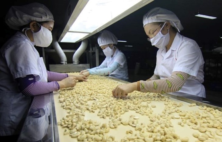 Les entreprises fondées par des Vietnamiens au Canada, un levier pour booster les exportations du Vietnam vers ce pays