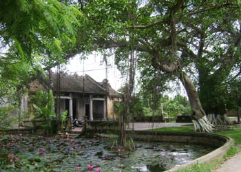 Quê hương - ปิตุภูมิ