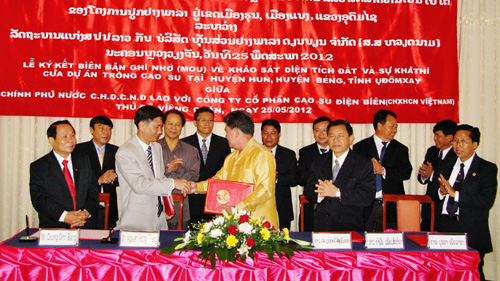 เวียดนามลงทุนโครงการปลูกยางพาราในเขตภาคเหนือลาว