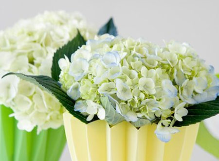 จากคุณ ประสิทธิ์ ไชยชมพู