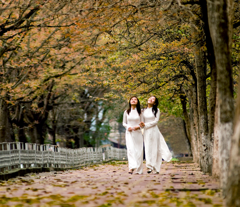 เธอคือฮานอยยามฤดูไม้ผลัดใบ