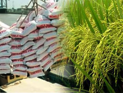 ไทยสามารถส่งออกข้าวได้กว่า 1 ล้าน 5 แสนตัน