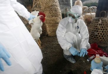 จำนวนผู้ติดเชื้อไวรัสไข้หวัดนก H7N9 ในจีนเพิ่มขึ้นอย่างต่อเนื่อง