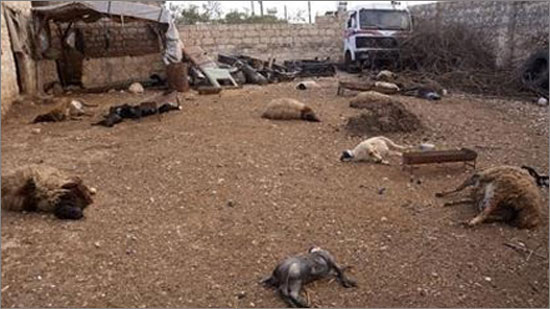 รัสเซียและสหรัฐหารือเกี่ยวกับปัญหาของซีเรีย