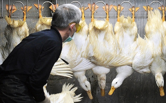 WHO เตือนเกี่ยวกับความเสี่ยงจากการระบาดของไวรัสไข้หวัดนกสายพันธุ์ใหม่ H7N9