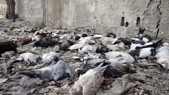 สามารถขนส่งอาวุธเคมีร้อยละ 80 ออกจากซีเรียได้แล้ว