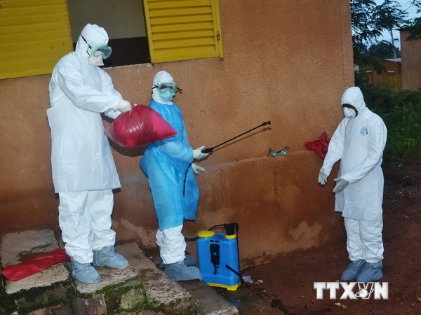 องค์การอนามัยโลกเตือนว่า โรคมรณะอีโบลาจะระบาดอย่างรวดเร็วถ้าไม่มีปฏิบัติการที่เด็ดขาด