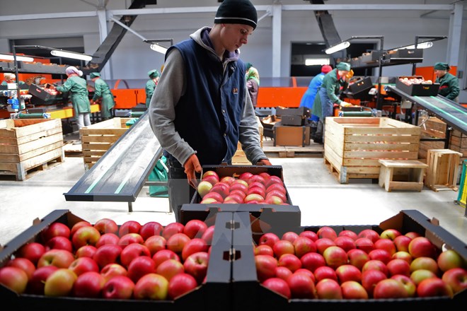 รัสเซียขยายระยะเวลาการปฏิบัติมาตรการควํ่าบาตรด้านการนำเข้าสินค้าจากอียู