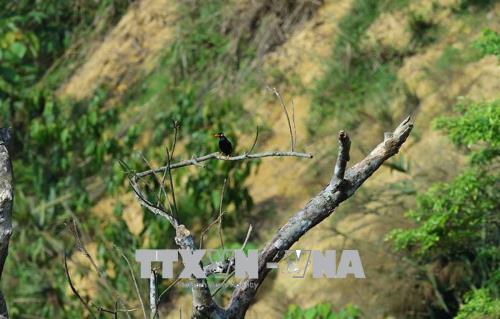 ผลักดันการพัฒนาพื้นที่อนุรักษ์เพื่อลดความเสียหายและปรับตัวเข้ากับการเปลี่ยนแปลงของสภาพภูมิอากาศ