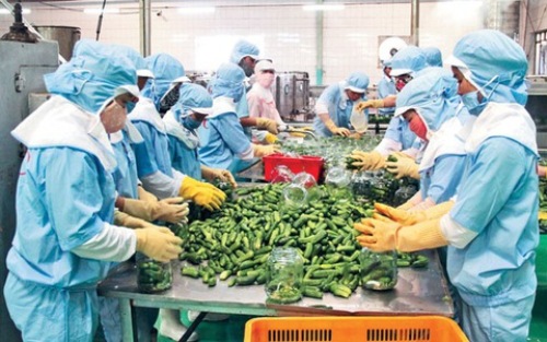 มูลค่าการส่งออกสินค้าการเกษตร ป่าไม้และสัตว์น้ำในรอบ 10เดือนที่ผ่านมาบรรลุกว่า 3 หมื่น 3 พันล้านดอลลาร์สหรัฐ