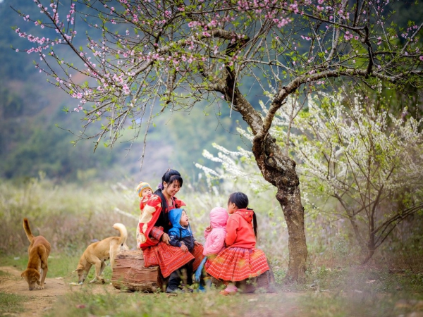 วสันตฤดูเวียนมาในเขตเขา
